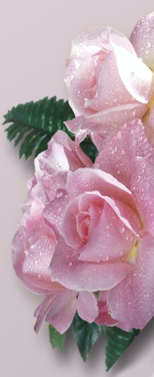 680 DLJ-063 Bouquet Of Roses Orchid